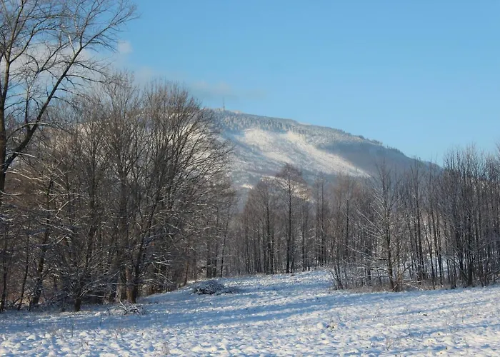 Prázdninový dům Spokojny Zakatek Z Balia Z Jacuzzi Lipowa